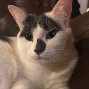 Meet your Posher, Holly